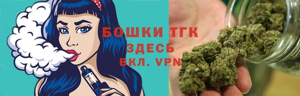 шишки Няндома