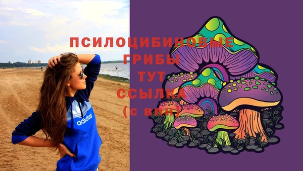 стафф Алзамай