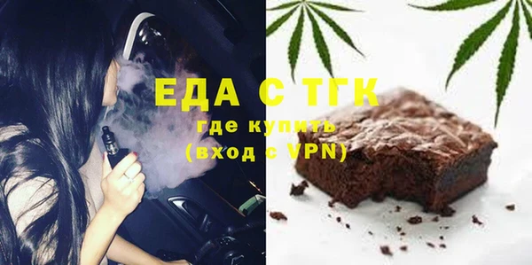 шишки Няндома
