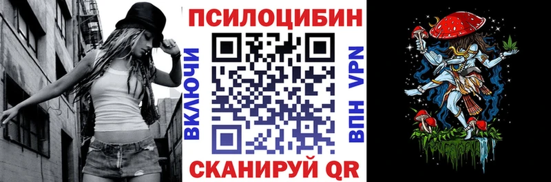 omg tor  продажа наркотиков  Пугачёв  Псилоцибиновые грибы мухоморы 